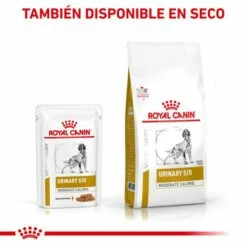 Royal Canin Urinary S/O Moderate Calorie -Suministros De Mascotas Ventas 2024 RC VET WET DogUrinarySOMC CV Eretailkit 4 es ES 62fcc7b58242b g