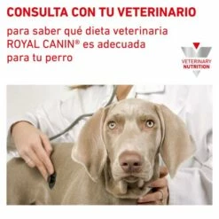 Royal Canin Comida Húmeda Urinary S/O Canine -Suministros De Mascotas Ventas 2024 RC VHN CanineUrinarySoLoafWet 200g CV BrandFlagship 6 es ES 64abadf2bfb43 g
