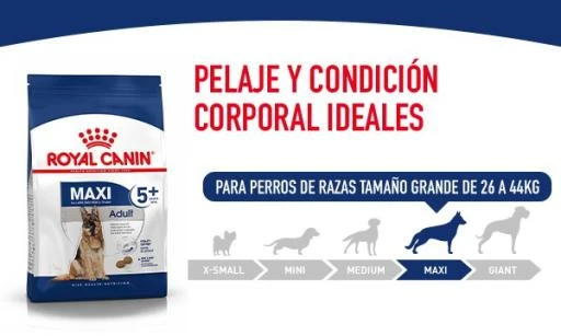Royal Canin Maxi Adult Pienso Para Perro Adulto De Razas Tamaño Grande 10 Royal Canin Maxi Adult Pienso Para Perro Adulto De Razas Tamaño Grande - Imagen 8