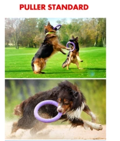 Collar Puller Juguete Mordedor -Suministros De Mascotas Ventas 2024 Standard 62fe11234de86 g