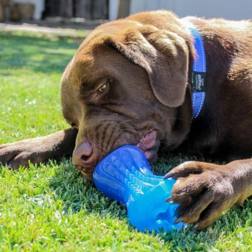 Rogz Juguete Mordedor Yumz Azul 4 Rogz Juguete Mordedor Yumz Azul - Imagen 2