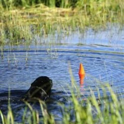Chuckit! Chuckit Aleta De Tiburón Flotante Para Perros 12 Chuckit! Chuckit Aleta De Tiburón Flotante Para Perros -Suministros De Mascotas Ventas 2024 aleta naranja juguete perro 63e3662a0d17d g