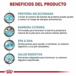 Royal Canin Comida Húmeda Sensitivity Control Feline Pollo Y Arroz -Suministros De Mascotas Ventas 2024 beneficios 2 6270efdf8d4d3 g