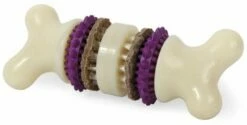 Petsafe Hueso Mordedor Bristle Bone Con Snacks Para Perros