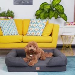 Ferplast Cama Viscoelástica Memor One Para Perro 14 Ferplast Cama Viscoelástica Memor One Para Perro -Suministros De Mascotas Ventas 2024 cama viscoelastica para perro mediano 64bfa85df396a g