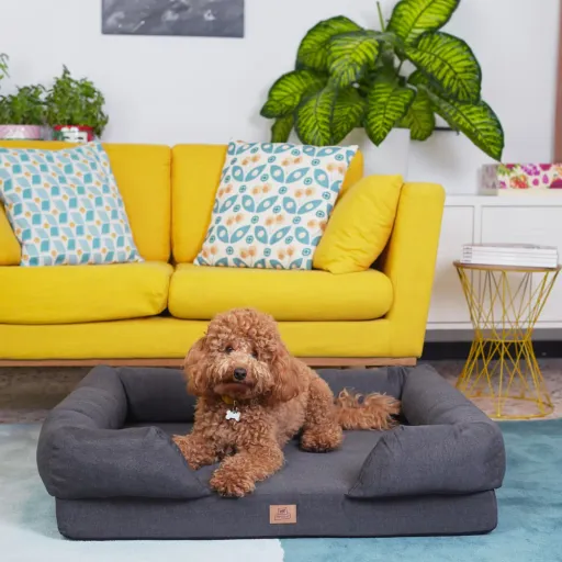 Ferplast Cama Viscoelástica Memor One Para Perro 8 Ferplast Cama Viscoelástica Memor One Para Perro - Imagen 6