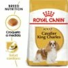 Royal Canin Cavalier King Charles Adult Pienso Para Perro Adulto Spaniel -Suministros De Mascotas Ventas 2024 cavalier king charles adult 2 g