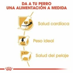 Royal Canin Cavalier King Charles Adult Pienso Para Perro Adulto Spaniel -Suministros De Mascotas Ventas 2024 cavalier king charles adult 3 g