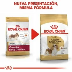 Royal Canin Cavalier King Charles Adult Pienso Para Perro Adulto Spaniel -Suministros De Mascotas Ventas 2024 cavalier king charles adult 6 g