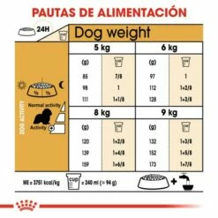 Royal Canin Cavalier King Charles Adult Pienso Para Perro Adulto Spaniel -Suministros De Mascotas Ventas 2024 cavalier king charles adult 7 g