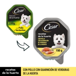 Pack 14 Cesar Comida Húmeda Perros Recetas De La Huerta En Paté Y Gelatina Tarrina -Suministros De Mascotas Ventas 2024 comida humeda perros recetas de la huerta en pate gelatina tarrina 2 g
