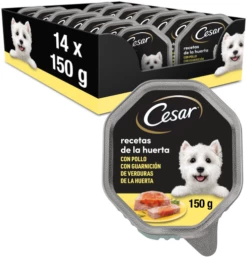 Pack 14 Cesar Comida Húmeda Perros Recetas De La Huerta En Paté Y Gelatina Tarrina -Suministros De Mascotas Ventas 2024 comida humeda perros recetas de la huerta en pate gelatina tarrina 7 g