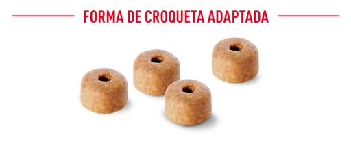 Royal Canin Labrador Retriever Puppy Pienso Para Cachorro De Raza 14 Royal Canin Labrador Retriever Puppy Pienso Para Cachorro De Raza - Imagen 12