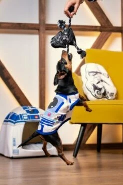 For Fan Pets Cuerda Dental Para Perro Star Wars Darth Vader -Suministros De Mascotas Ventas 2024 cuerda dental para perro star wars 7 g