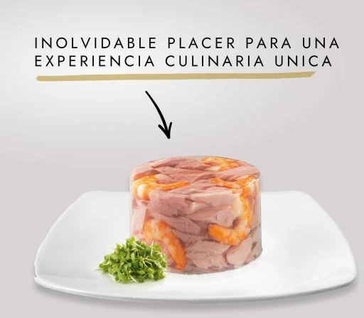 Pack 24 Gourmet Comida Húmeda Diamant Mini Filetes De Pollo Para Gatos 4 Pack 24 Gourmet Comida Húmeda Diamant Mini Filetes De Pollo Para Gatos - Imagen 2