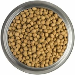 Pro Plan Veterinary Diets Pienso DM Diabetes Management Para Perros -Suministros De Mascotas Ventas 2024 dm diabetes managment 2 g