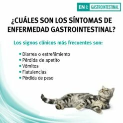 Pack 24 Pro Plan Veterinary Diets Comida Húmeda Mousse EN Gastrointestinal ST/OX -Suministros De Mascotas Ventas 2024 en gastrointestinal st ox mousse 4 g