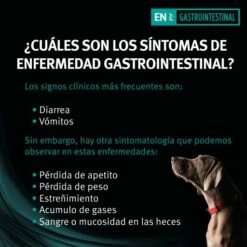 Pro Plan Veterinary Diets Pienso EN Gastrointestinal Para Perros -Suministros De Mascotas Ventas 2024 en gastrointestinal 5 g