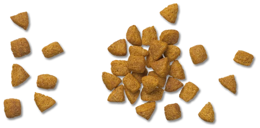 Pro Plan Veterinary Diets Pienso UR Urinary ST/OX Para Gatos 13 Pro Plan Veterinary Diets Pienso UR Urinary ST/OX Para Gatos - Imagen 11