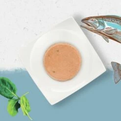 Pack 12 Beyond Comida Húmeda Grain Free Para Gatos De Salmón Con Espinacas -Suministros De Mascotas Ventas 2024 grain free gato salmon 3 g