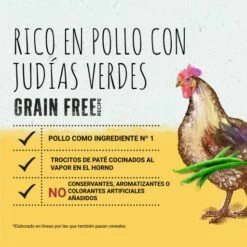 Pack 12 Beyond Comida Húmeda Grain Free Para Perros De Pollo Con Judías Verdes -Suministros De Mascotas Ventas 2024 grain free perro pollo 3 g