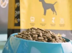 Hantu Pienso Adult Pollo Y Arroz Para Perro -Suministros De Mascotas Ventas 2024 hantu perro pollo 635b88ed6782e g