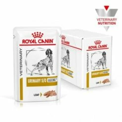Royal Canin Urinary S/O Ageing +7 13 Royal Canin Urinary S/O Ageing +7 -Suministros De Mascotas Ventas 2024 hero 1 624bf2964ece9 g