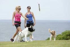 Doog Stick Woody 7 Doog Stick Woody -Suministros De Mascotas Ventas 2024 juguete palo para perro 63876517bc0da g