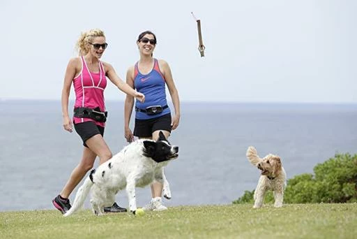 Doog Stick Woody 5 Doog Stick Woody - Imagen 3