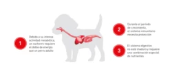 Royal Canin Labrador Retriever Puppy Pienso Para Cachorro De Raza 24 Royal Canin Labrador Retriever Puppy Pienso Para Cachorro De Raza -Suministros De Mascotas Ventas 2024 labrador puppy royal canin 6436bdfa0dadc g