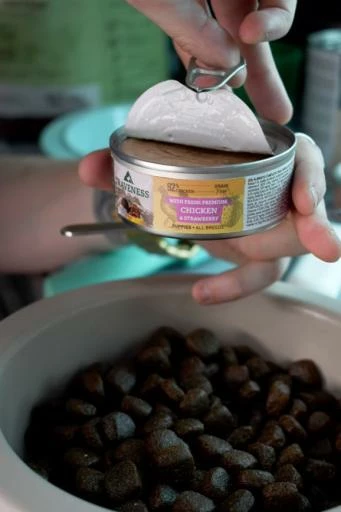 Traveness Discovery Cachorros: Pienso De Pollo + 2 Latas Incluidas 7 Traveness Discovery Cachorros: Pienso De Pollo + 2 Latas Incluidas - Imagen 5