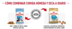 Royal Canin Labrador Retriever Puppy Pienso Para Cachorro De Raza 25 Royal Canin Labrador Retriever Puppy Pienso Para Cachorro De Raza -Suministros De Mascotas Ventas 2024 mixfeeding royal canin puppy 6436bece0c91a g