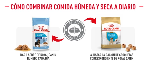 Royal Canin Labrador Retriever Puppy Pienso Para Cachorro De Raza 13 Royal Canin Labrador Retriever Puppy Pienso Para Cachorro De Raza - Imagen 11