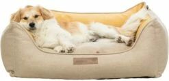 Trixie Cama Lona Rectangular Arena Y Amarillo -Suministros De Mascotas Ventas 2024 modificar cama lona cuadrado 60 50 cm arena amarillo 5 g