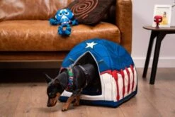 For Fan Pets Mordedor Para Avengers Capitán América 15 For Fan Pets Mordedor Para Avengers Capitán América -Suministros De Mascotas Ventas 2024 mordedor para avengers capitan america 7 g