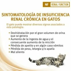 Pro Plan Veterinary Diets Comida Húmeda NF Renal Function ST/OX Trocitos En Salsa De Pollo -Suministros De Mascotas Ventas 2024 nf renal function st ox trocitos en salsa de pollo 5 g