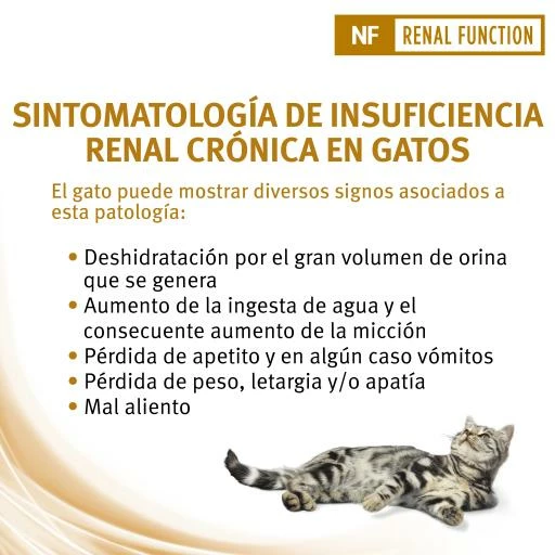 Pro Plan Veterinary Diets Comida Húmeda NF Renal Function ST/OX Trocitos En Salsa Salmón 11 Pro Plan Veterinary Diets Comida Húmeda NF Renal Function ST/OX Trocitos En Salsa Salmón - Imagen 9