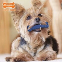 Nylabone Juguete Hueso Dental Plaque Attacker Para Perros 8 Nylabone Juguete Hueso Dental Plaque Attacker Para Perros -Suministros De Mascotas Ventas 2024 nylabone chews bone 641c685ae5406 g