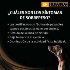 Pack 12 Pro Plan Veterinary Diets Comida Húmeda Mousse OM Obesity Management Para Perros -Suministros De Mascotas Ventas 2024 om obesity management mousse 3 g