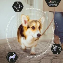 Pro Plan Optiage Adult 9+ De Pollo Small/Mini -Suministros De Mascotas Ventas 2024 optiage adult 9 de pollo small mini 2 g