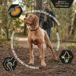 Pro Plan Optibalance Duo Délice Adult De Pollo Medium/Large -Suministros De Mascotas Ventas 2024 optibalance duo delice adult de pollo medium large 2 g