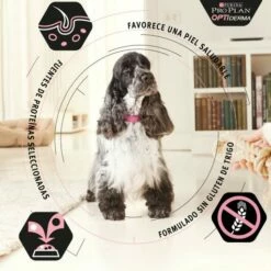 Pro Plan Optiderma Puppy De Salmón Medium 19 Pro Plan Optiderma Puppy De Salmón Medium -Suministros De Mascotas Ventas 2024 optiderma puppy de salmon medium 2 g 1