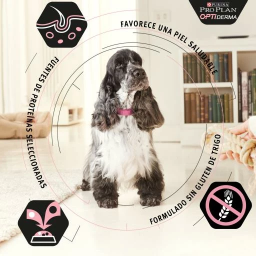 Pro Plan Optiderma Puppy De Salmón Medium 9 Pro Plan Optiderma Puppy De Salmón Medium - Imagen 7