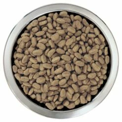 Pro Plan Optiderma Puppy De Salmón Medium 16 Pro Plan Optiderma Puppy De Salmón Medium -Suministros De Mascotas Ventas 2024 optiderma puppy de salmon medium 3 g