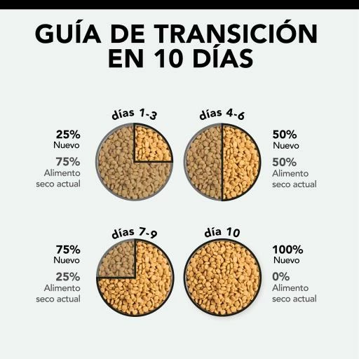 Pro Plan Pienso Optidigest Delicate Adult De Pavo Para Gatos 9 Pro Plan Pienso Optidigest Delicate Adult De Pavo Para Gatos - Imagen 7