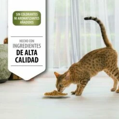 Pro Plan Pienso Optidigest Delicate Adult De Pavo Para Gatos 18 Pro Plan Pienso Optidigest Delicate Adult De Pavo Para Gatos -Suministros De Mascotas Ventas 2024 optidigest delicate adult de pavo 4 5 g