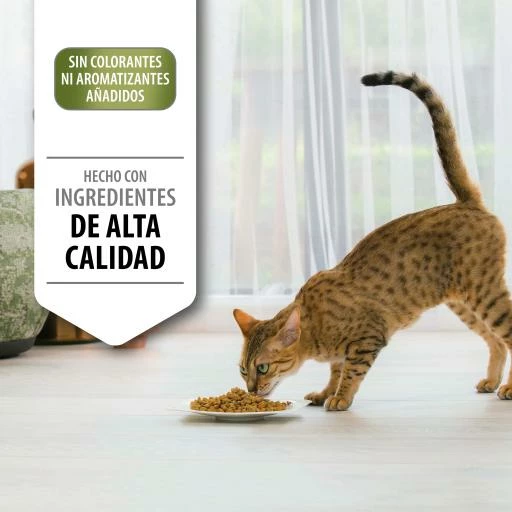 Pro Plan Pienso Optidigest Delicate Adult De Pavo Para Gatos 10 Pro Plan Pienso Optidigest Delicate Adult De Pavo Para Gatos - Imagen 8