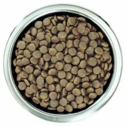 Pro Plan Medium Puppy Healthy Start Optistart Rico En Pollo 11 Pro Plan Medium Puppy Healthy Start Optistart Rico En Pollo -Suministros De Mascotas Ventas 2024 optistart puppy de pollo medium 3 g