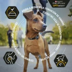 Pro Plan All Size Adult Light/Sterilised Optiweight Rico En Pollo -Suministros De Mascotas Ventas 2024 optiweight adult de pollo 2 g