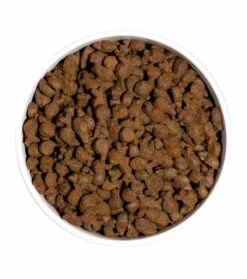 Ownat Pienso Just Grain Freede Trucha Para Perros -Suministros De Mascotas Ventas 2024 ow just grain free trout platoadl 6389ec4278006 g